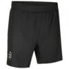 Daehlie Shorts Run 365 - Laufshorts -Berg Freunde Bekleidung Geschaft daehlie shorts run 365 laufshorts