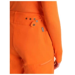 Icebreaker Women's Shell+ Pants - Softshellhose 18 Icebreaker Women's Shell+ Pants - Softshellhose -Berg Freunde Bekleidung Geschaft icebreaker womens shell pants softshellhose detail 7