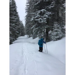 Ortovox 3L Ortler Pants - Regenhose -Berg Freunde Bekleidung Geschaft ortovox 3l ortler pants regenhose bcca0c4356e84ea59c42b8eb4de54459 1