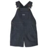 Patagonia Kid's Stand Up Shortalls - Shorts -Berg Freunde Bekleidung Geschaft patagonia kids stand up shortalls shorts