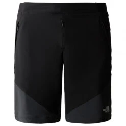 The North Face Circadian Alpine Short - Shorts -Berg Freunde Bekleidung Geschaft the north face circadian alpine short shorts 1