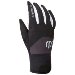 Daehlie Glove Classic 2.0 - Handschuhe